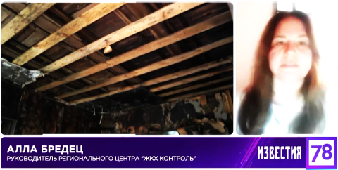 Бездомные поневоле
